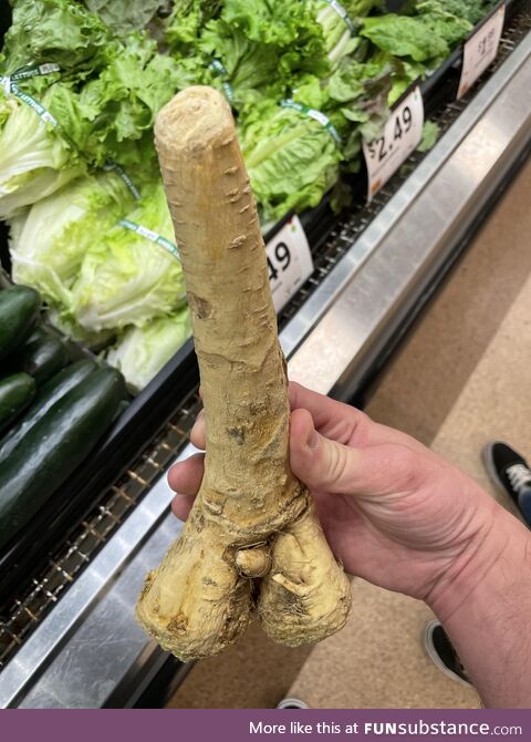 Another healthy sized vegetable