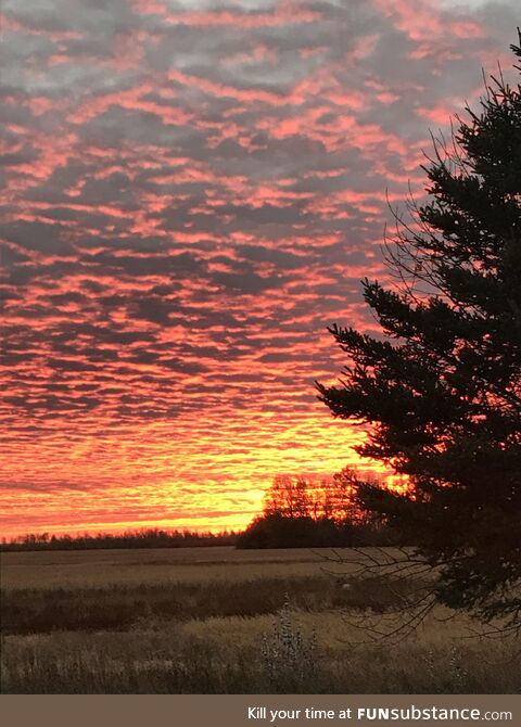 Cool sunset I seen outside my cousins place