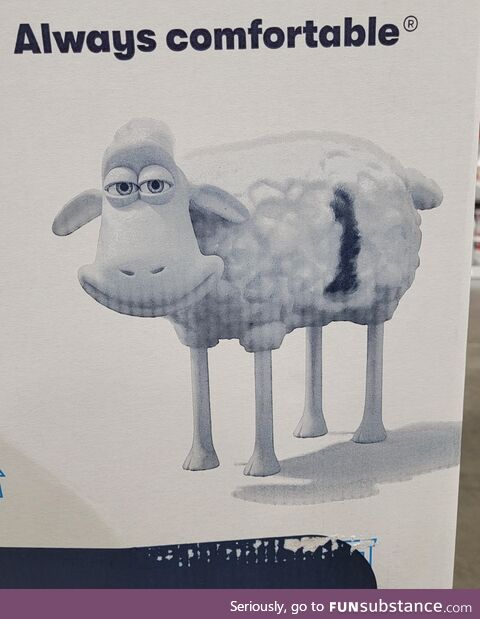 I don't like how this sheep is looking at me