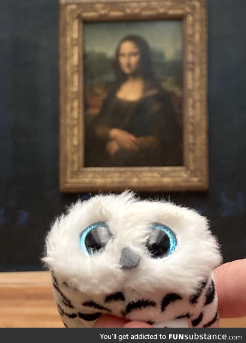 Owley enjoyed Paris -our daughter sent her snuggley with us to Paris. We stood in a queue