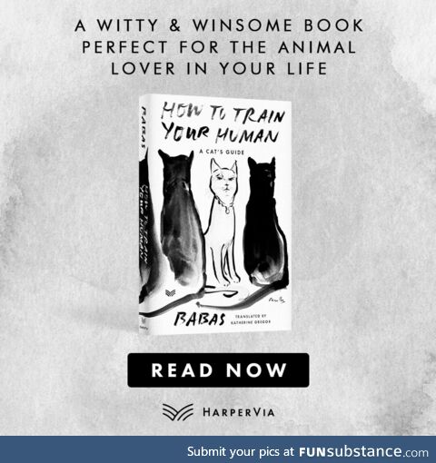 A witty and winsome new way of looking at the complex relationship between cats and