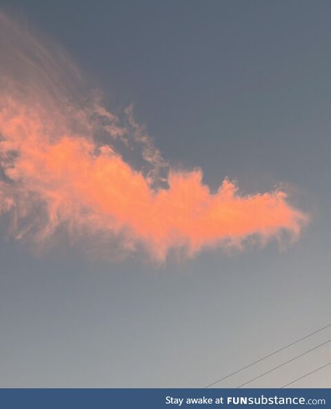 Cloud that looks like bat