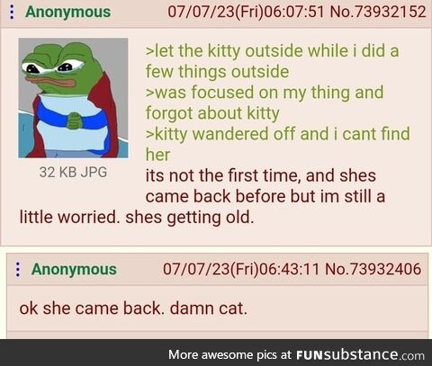Anon almost loses Kitty