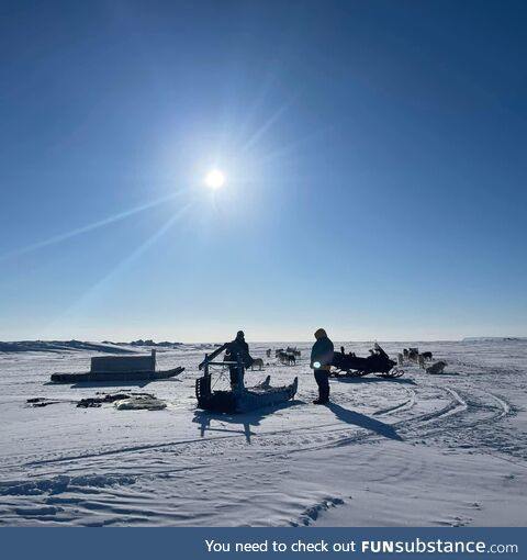 Me and my brother getting the dogs ready to go out mushing. Resolute Bay, Nunavut