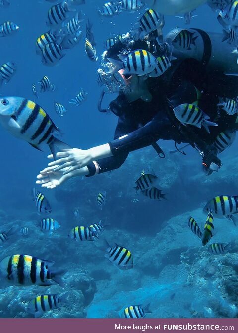 A few years ago, I took this photo while diving in Bali