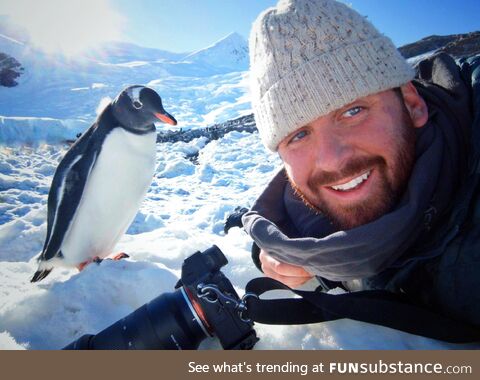 I work as a guide in Antarctica. I was minding my own business when this Penguin wanted a