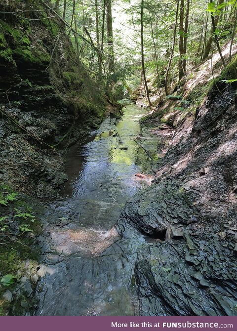 Pretty river pic from a hike :)