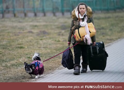 Ukrainian refugee with her dog and two cats crosses the border into Poland