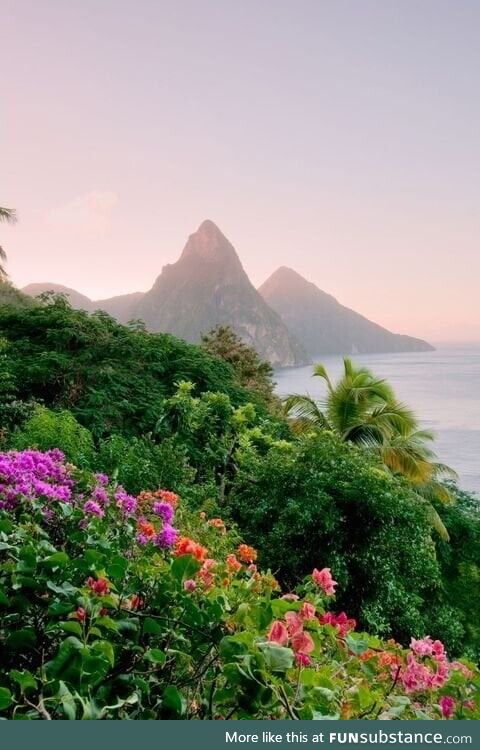 The pitons