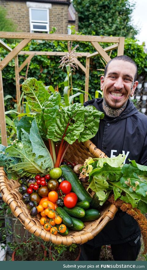 I transformed my front lawn in a vegetable Garden for my neighbours!