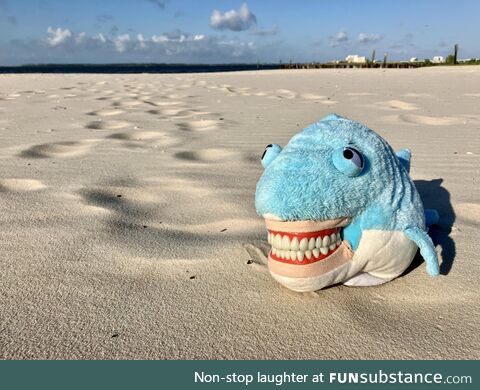 National Play in the Sand Day, with one of my teeth puppets, taken for my job