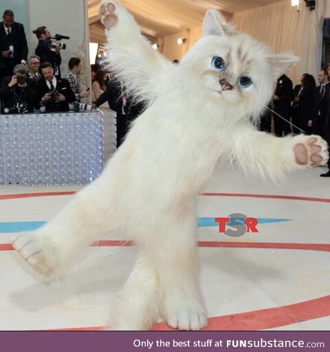 Jared Leto as Karl Lagerfeld’s cat Choupette... At the met gala
