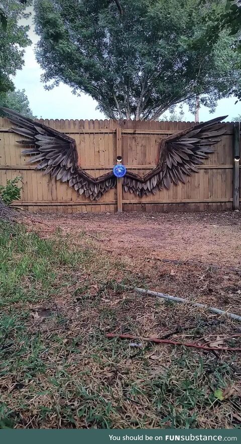 [OC] A neighbor made this out of their old fence