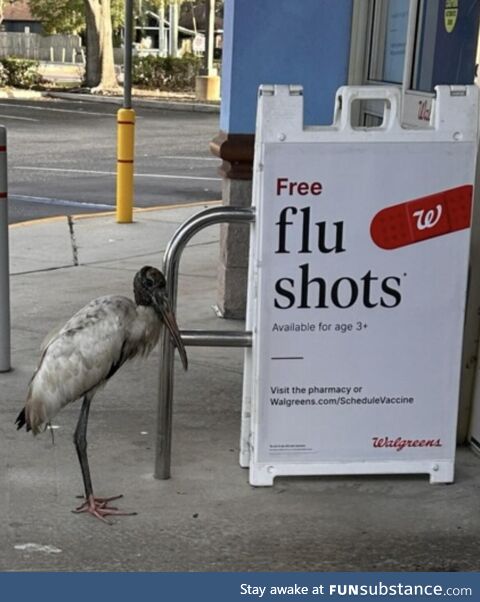 My instincts tell me it might be a bad year for bird flu!