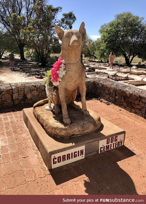 The corrigin dog cemetery, western australia