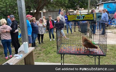 A new game in Florida. Chicken poop bingo. Seriously, it's a thing