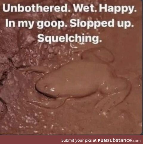 Muddy Frog = Happy Frog