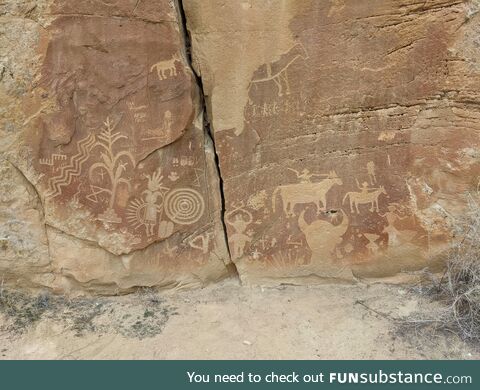 New mexico petroglyphs [oc]