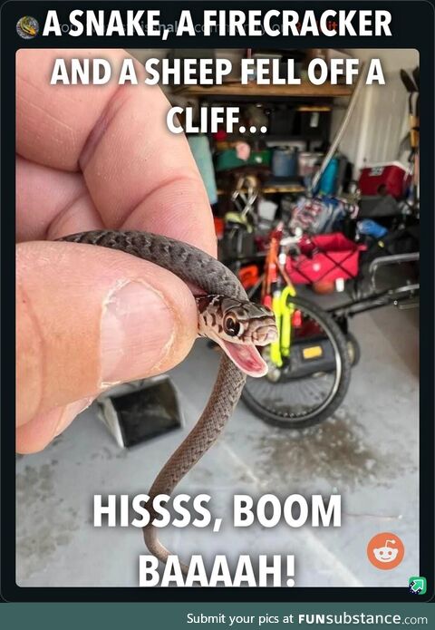 Silly pun snek