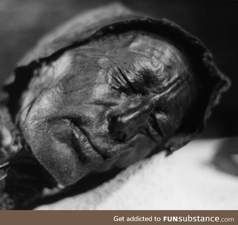 Tollund Man: 2400 year-old bog mummy found in Denmark in 1950