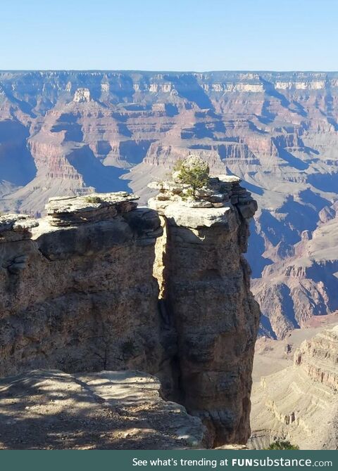 Grand canyon