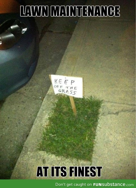 Nice lawn dude