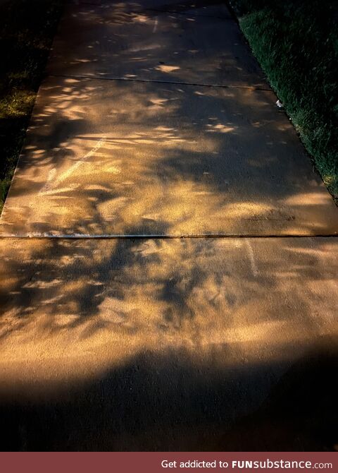 Shadows on a sidewalk at night