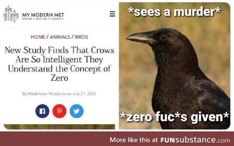 With two crows cawing - a murder is bound to happen soon enough