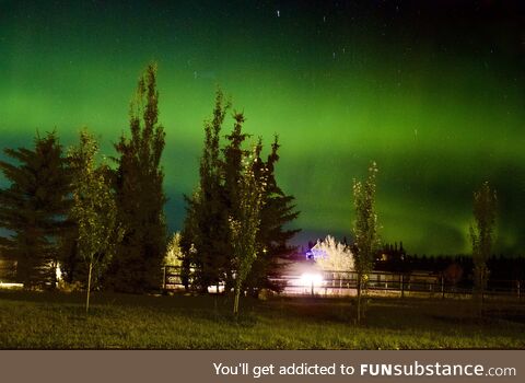 Northern Lights near Calgary right now