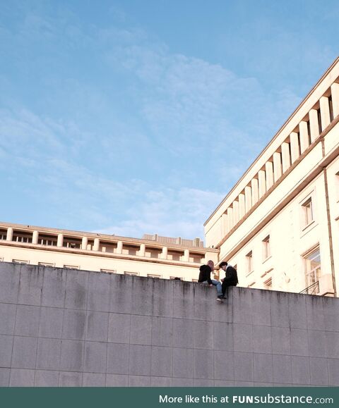 Spotted on a rooftop in Brussels