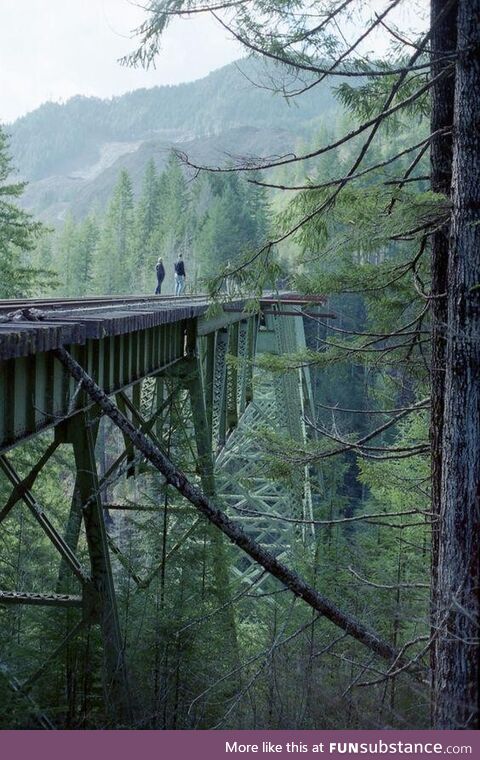 Vance creek bridge, washington, united states