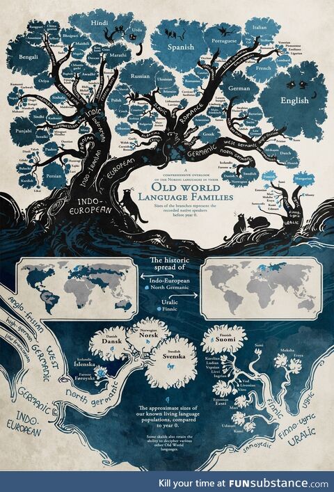 Tree showing how languages are related. Weird that Swedish and Hindi are more closely