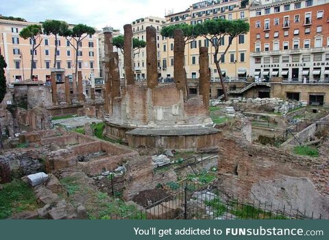 The place where Julius Caesar was murdered is now a sanctuary for cats