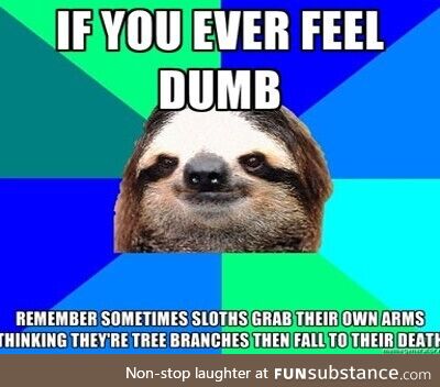 If you ever feel dumb