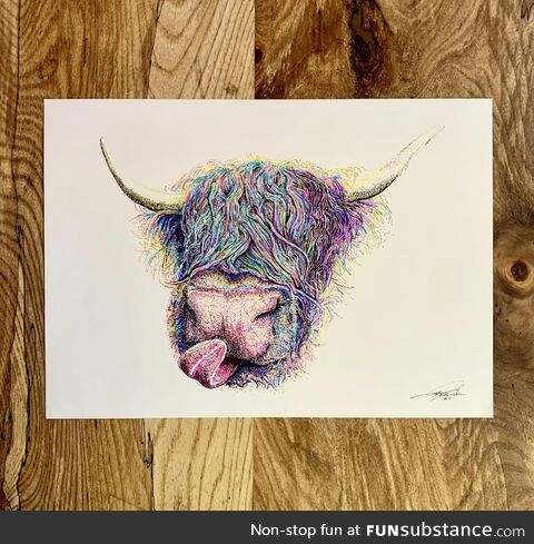 (oc) iridescent cheeky highland coo