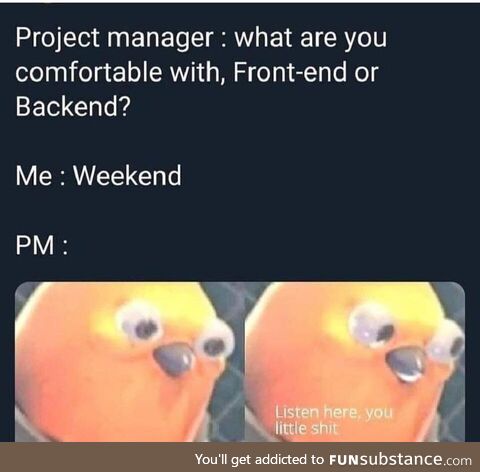 projectManager