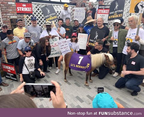 Aubrey Plaza and the Parks and Recreation crew had a mini-reunion at the SAG-AFTRA strike