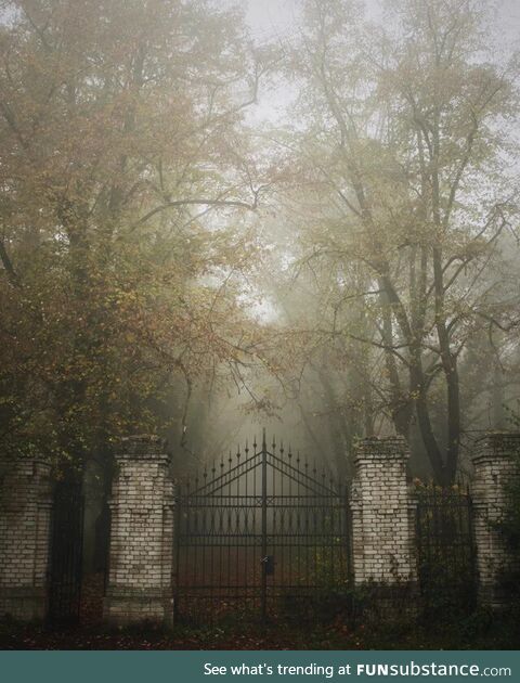 Abandoned asylum cemetery of the insane