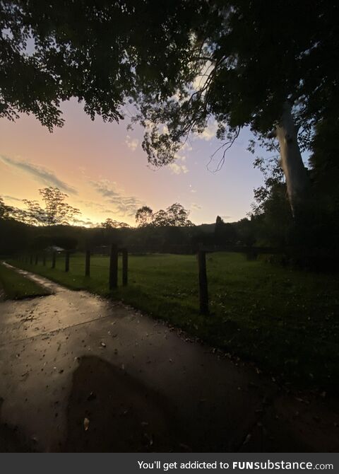 [oc] The sky was looking cool whilst I was taking out my bins