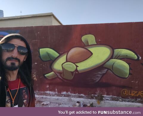 I painted an Avocado Turtle at a mini graffiti fest in Mexico City