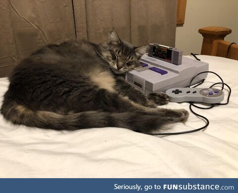 Cat sleeping on a Super Nintendo