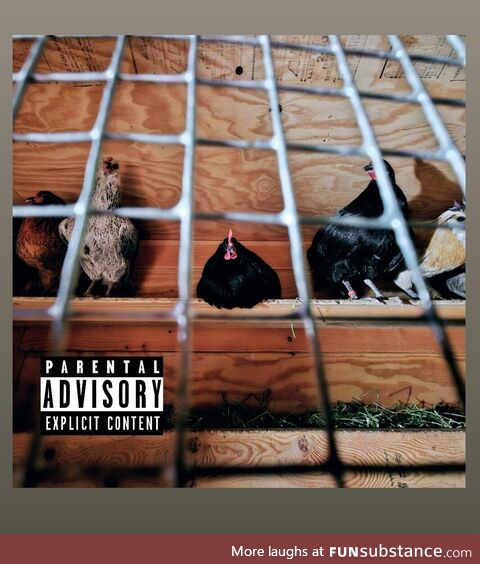 Took a pic of my chickens and they look so cool I had to make it an album cover