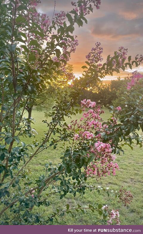 Sunset in Central Texas. Photo taken by my 11 year old Grandson