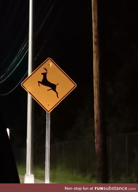 Deer crossing, deer may have raging hard on and try to cross road in order to get laid