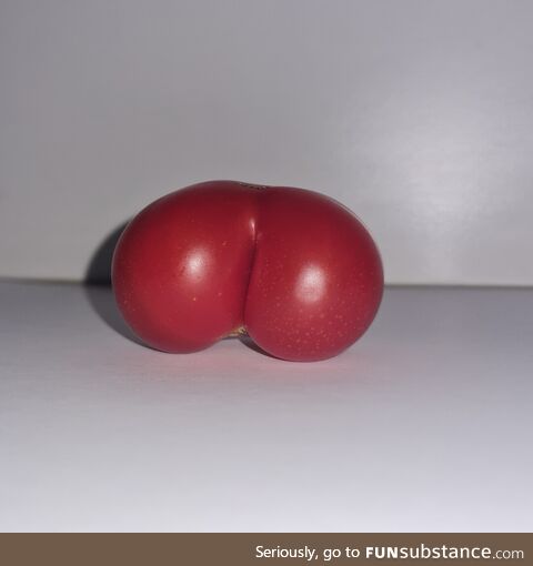 I found a delicious looking tomato