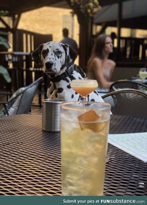 Saw this pretty lady staring at me from across the bar so I invited her over for a drink