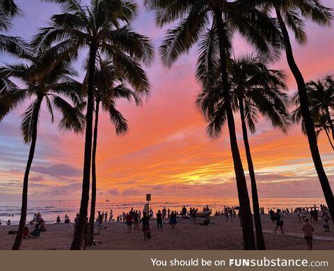 Sunset on Waikiki Beach. Honeymoon, End of day one!