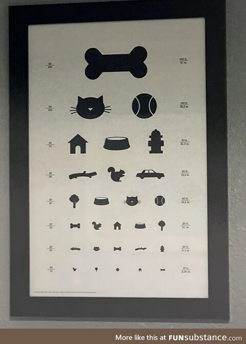 Doggy eye exam chart