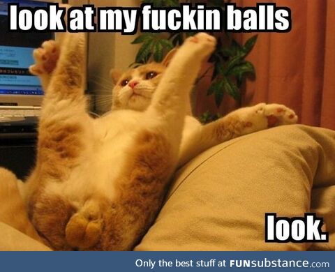 Look at my f*ckin balls..Look