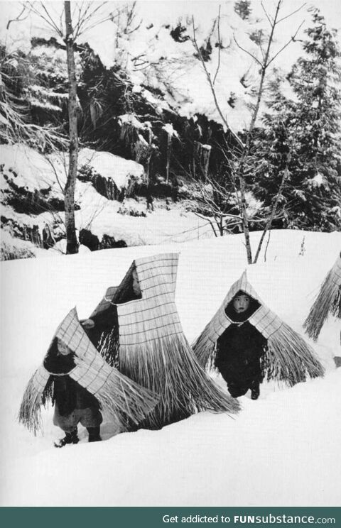 Children in minobashi raincoats going to a new year's event,Niigata prefecture, Japan 1956